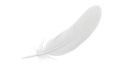 Isolated light bird feather showing fine barbs, quill, and gentle curve for grace