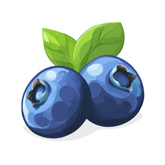 Blueberry, flat style 2D vector image, isolated on a white background