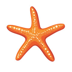 Flat 2D Starfish illustration, vector graphic in icon style, on white background