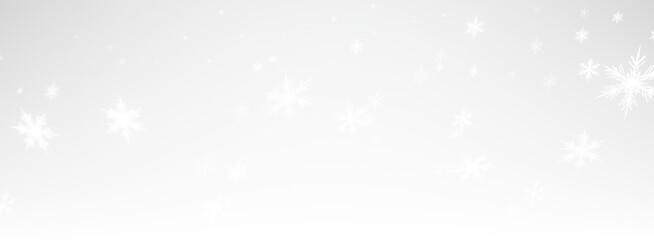 Stunning and Beautiful Snowflakes PNG Overlay for Your Transparent Photo Backgrounds A Charming Festive Illustration