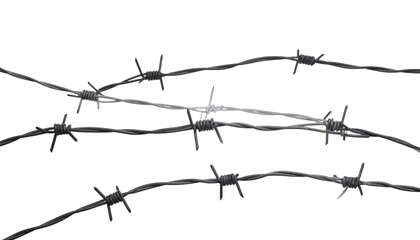 Razor wire strands against a white background
