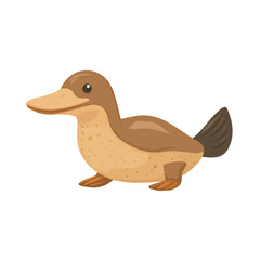 Platypus in a clean 2D flat vector icon style, minimal and simple, set on a plain white background.