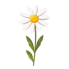 Chamomile Flower illustrated in a clean 2D flat vector style, minimal and modern, isolated on a white background.