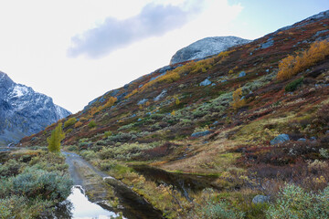 Autumn at Breiddalsegga, Skjåk, Innlandet, Norway