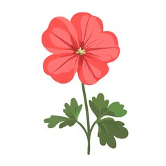 2D flat vector illustration of a Geranium Flower in icon style, isolated on white background