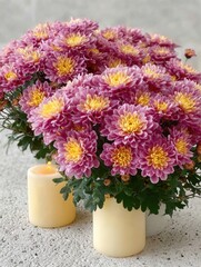 Fototapeta premium Colorful chrysanthemums and candles create a warm and inviting atmosphere for a cozy gathering in a peaceful setting