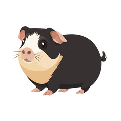 Minimal flat vector of a Guinea Pig, 2D icon-style illustration on white background