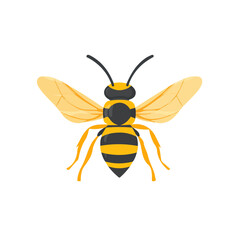 Flat 2D Hornet illustration, vector graphic in icon style, on white background