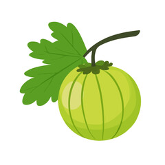 Minimal flat vector of a Indian Gooseberry, 2D icon-style illustration on white background