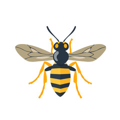 Hornet, flat style 2D vector image, isolated on a white background