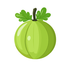 Indian Gooseberry, flat style 2D vector image, isolated on a white background