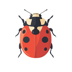 Fototapeta premium 2D flat vector illustration of Ladybug, clean and minimal icon style, isolated on white background.