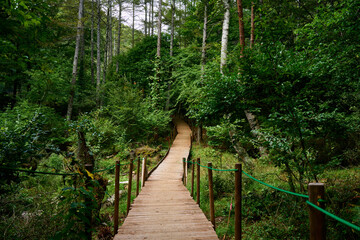 守屋山の登山道