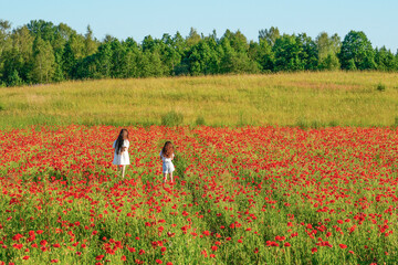 Two children with long brown hair are walking through a poppy field. The field is full of red flowers. A field of grass and trees are in the background under a clear blue sky.
