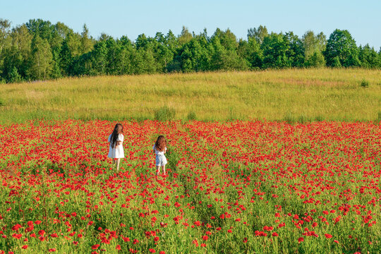 Two children with long brown hair are walking through a poppy field. The field is full of red flowers. A field of grass and trees are in the background under a clear blue sky. - Powered by Adobe