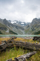 View on Upper Multinskoye lake with fallen tree trunks in the foreground, the Altai Republic, Russia