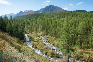 Morning view on Kuiguk valley with its green forests and mountain tops in the background, the Altai Republic, Russian Federation