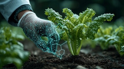 Scientist's gloved hand with digital overlay interacting with a young plant, symbolizing agricultural technology and genetic modification.