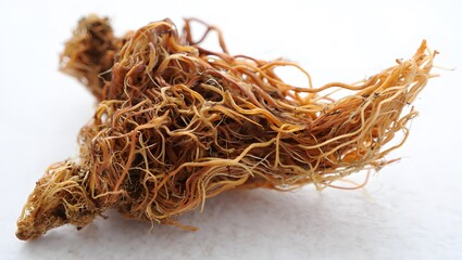 Dried ginseng root isolated on white background