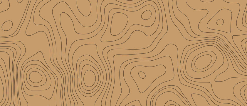 Topographic map pattern background vector. Abstract mountain terrain map background with abstract shape line texture.  geographic grid map vector illustration.