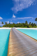 Fantastic aerial Maldives island luxury resort water villas beach tropical sea lagoon bay gorgeous travel landscape exotic paradise summer vacation destination turquoise ocean horizon scenic seascape 