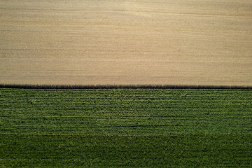 Minimalist Aerial of Divided Crop Field and Harvested Farmland, Poland – Straight Lines Landscape