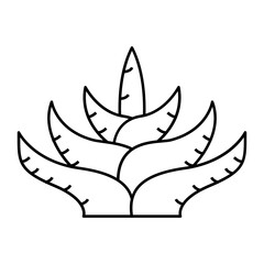 Aloe Leaf outline icon