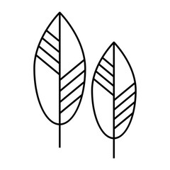 Twin Leaf outline icon