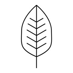 Simple Oval Leaf outline icon