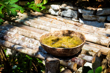 Coba pyramids archeological site in Mexico