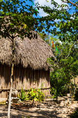 Coba pyramids archeological site in Mexico