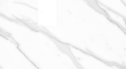 Obraz premium Elegant White Marble Texture with Subtle Gray Veins.