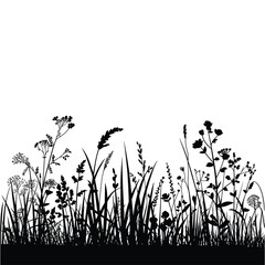Wild Meadow Silhouette with Grass and Flowers