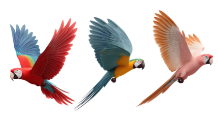 Colorful Macaws in Flight: A stunning trio of vibrant macaws soar gracefully, their wings spread wide against the sky. They are captured in a moment of freedom and beauty