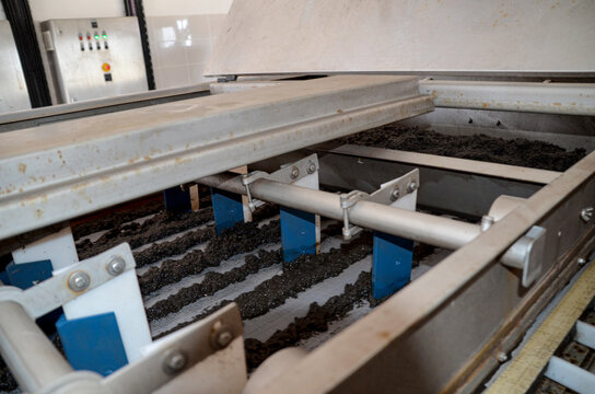 Close-up of belt filter press dewatering unit in action at wastewater treatment plant, showing machinery pushing sewage sludge across belts. it demonstrates industrial process of of separating water