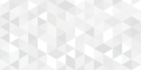 Abstract background with an elegant white geometric hexagon pattern. Creative trendy color background. Vector illustration.