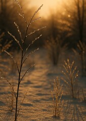 Obraz premium Serene winter sunrise landscape.