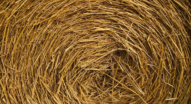Close up of a hay bale texture with golden hues and detailed straw - Powered by Adobe