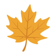Yellow maple leaf in flat doodle style, autumn foliage with simple veins, isolated on white background.