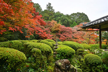 紅葉色付く秋の詩仙堂丈山寺 日本庭園