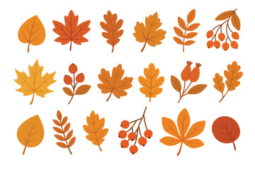 Autumn leaves