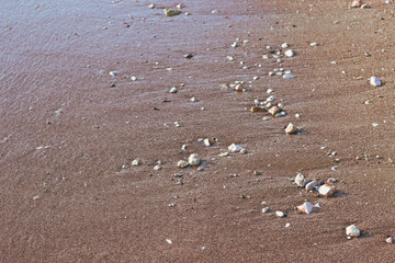 dirt ground shore line perspective background narrow focus foreshortening concept