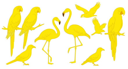 Stylized yellow bird collection featuring parrots flamingos and birds in flight vibrant artwork