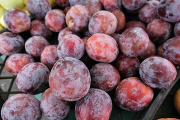 Close-up view of ripe plums piled in a crate or basket, likely at a market or fruit stand. 