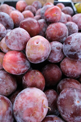 Close-up view of ripe plums