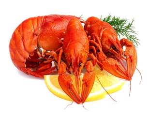 Red crayfish on lemon slices