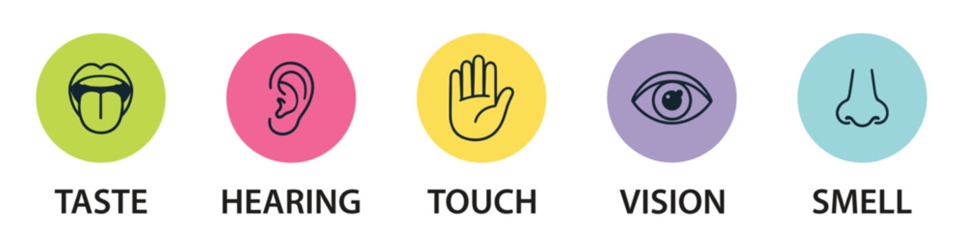 Human senses icon set. Vision eye, smell nose, hearing ear, touch hand, taste mouth with tongue. Simple line icons and black circle. Five senses of human nervous system. Vector illustration.