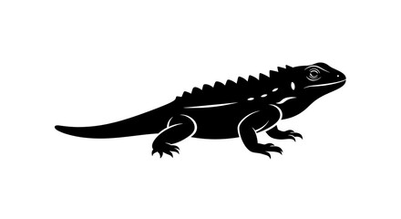 Obraz premium Black lizard silhouette isolated on white background
