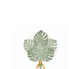 Monstera Luxury Bouquet