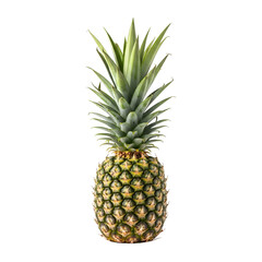 Fototapeta premium A ripe and juicy pineapple showcasing its vibrant colors and spiky texture set against a stark black background for a striking contrast